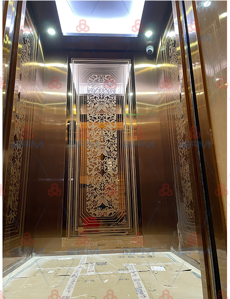 汕頭潮陽(yáng)區雙望鄉道別墅